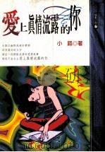爱上真情流露的你 1998 PDF电子版封面 9576150442 小路著