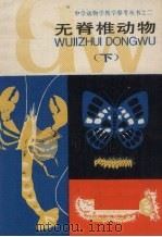 无脊椎动物  下（1984 PDF版）