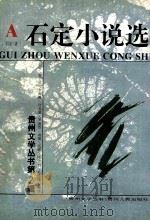 石定小说选 1994 PDF电子版封面 7221036357 石定著