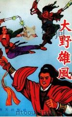 大野雄风（1991 PDF版）