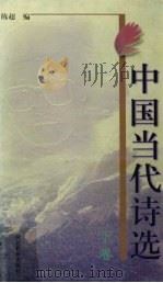 中国当代诗选  下（1999 PDF版）