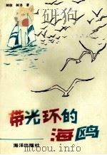 带光环的海鸥 1992 PDF电子版封面 7502711465 树敬,树逊著