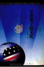 星条旗下的文化（1998 PDF版）