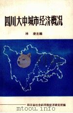 四川省大中城市经济概况  第1集（ PDF版）