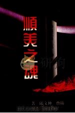 中国名牌丛书·顺美之魂（1995 PDF版）