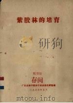 紫胶林的培育（1977 PDF版）