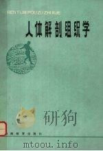 人体解剖组织学（1985 PDF版）