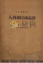 人体解剖图谱  第1卷  骨骼，关节，韧带，肌肉（1960 PDF版）