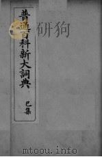 普通百科新大词典 已集 PDF电子版封面