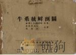 牛系统解剖图 1954 PDF电子版封面 (苏)伊凡诺夫(С.В.Иванов)撰;(苏)鲍格莫洛夫,