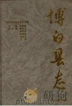 博白县志 1994 PDF电子版封面 7219026900 李建源主编;博白县志编纂委员会编
