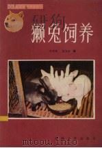 獭兔饲养（1984 PDF版）