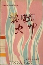 在烈火中  越南南方短篇小说选（1965 PDF版）