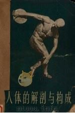 人体的解剖与构成   1962  PDF电子版封面  8028·1846  （美）勃拉特倍莱著；柴庆翔译 