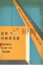 这里闪烁着光彩 1990 PDF电子版封面 7500511221 国际商报国内部编
