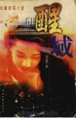 醒域 1998 PDF电子版封面 7505930001 孙汝春著