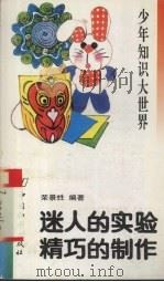 迷人的实验  精巧的制作（1993 PDF版）