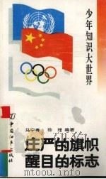 庄严的旗帜 醒目的标志 1993 PDF电子版封面 7800378578 马宁秀,徐理著