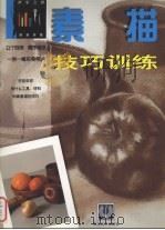 素描技巧训练  西班牙版（1998 PDF版）