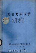玻璃微珠专集（1985 PDF版）