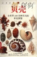 贝壳 1998 PDF电子版封面 7505713922 (英)S.彼得·丹斯(S.Peter Dance)著;(英)