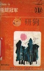独腿冠军（1991 PDF版）