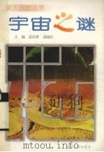 宇宙之谜 1996 PDF电子版封面 7800769070 聂清香主编