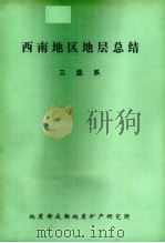 西南地区地层总结  三迭系（1980 PDF版）
