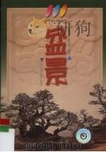 盆景（1999 PDF版）