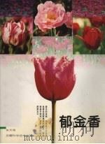 郁金香（1999 PDF版）
