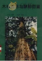 木材商品与缺陷图鉴   1997  PDF电子版封面  754160836X  姜长金编著；张金明摄影 