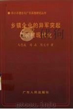 乡镇企业的异军突起与农村现代化 1998 PDF电子版封面 7218026184 马恩成等著