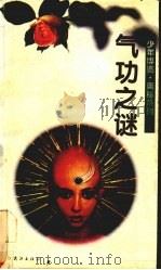 气功之迷 1994 PDF电子版封面 7543013029 肖安荣著