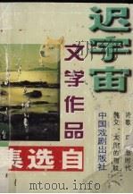 迟宇宙文学作品自选集 1997 PDF电子版封面 710400842X 迟宇宙著