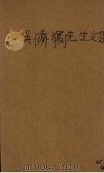 吴赤溟先生文集 PDF电子版封面