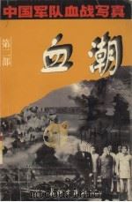血潮 1999 PDF电子版封面 7800155463 林耀升主编;陈伟航等编写