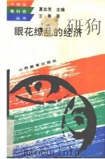 眼花缭乱的经济   1994  PDF电子版封面  754400516X  王昊著 