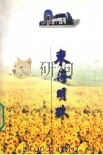 东海明珠 1999 PDF电子版封面 7505932683 俞亚国主编