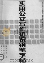 实用公文写作知识钢笔字帖 2 经济合同·市场调查·预算报告·审计报告 1992 PDF电子版封面 7800760960 戴宗济主编