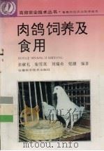 肉鸽饲养及食用 1995 PDF电子版封面 7533712005 张献礼等编著