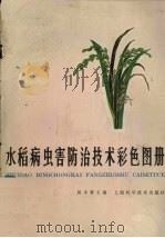 水稻病虫害防治技术彩色图册   1986  PDF电子版封面  16119·864  吴小青主编 