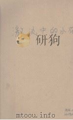 激流中的水花   1940  PDF电子版封面    全民抗战社编 