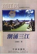 潮涌三江 宁波开发开放二十年纪略 1999 PDF电子版封面 7806022627 王耀成著