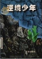 逆境少年 1999 PDF电子版封面 7806022805 李燕昌著