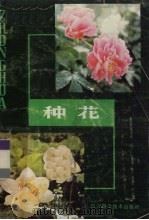 种花（1984 PDF版）