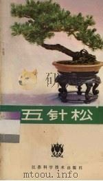 五针松（1984 PDF版）