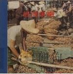 经济果树  下（1979 PDF版）