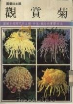 观赏菊 1987 PDF电子版封面 园艺社著