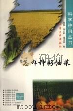怎样种好油菜 1997 PDF电子版封面 7502521577 黄崧等编