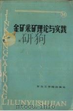 金矿采矿理论与实践（1990 PDF版）